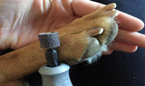 Pet Nail Grinder